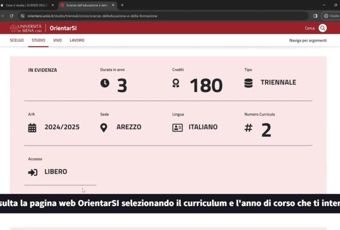dove si trova il piano di studi?