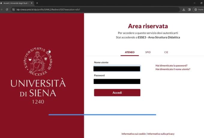 come si scarica il piano di studi dalla segreteria online?